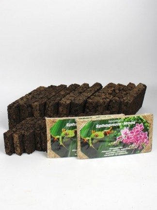Epiphytic planting package 4.