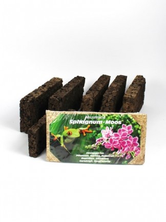 Epiphytic planting package 2.