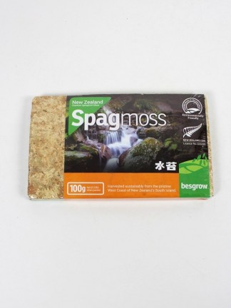 Sphagnum - pressed moss cube 100g